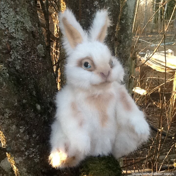Пасха закончилась - зайцы остались