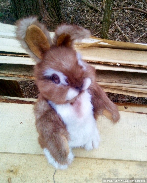 Пасха закончилась - зайцы остались (фото 3)