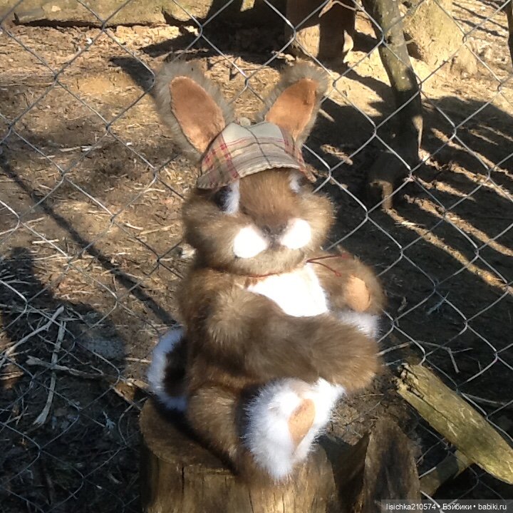Пасха закончилась - зайцы остались