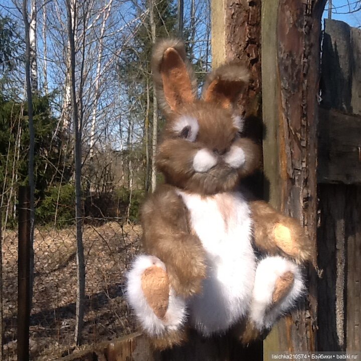 Пасха закончилась - зайцы остались (фото 8)