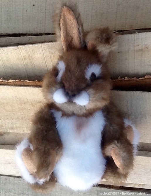 Пасха закончилась - зайцы остались