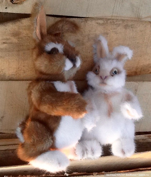 Пасха закончилась - зайцы остались