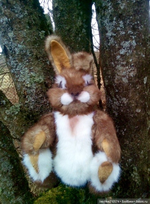 Пасха закончилась - зайцы остались