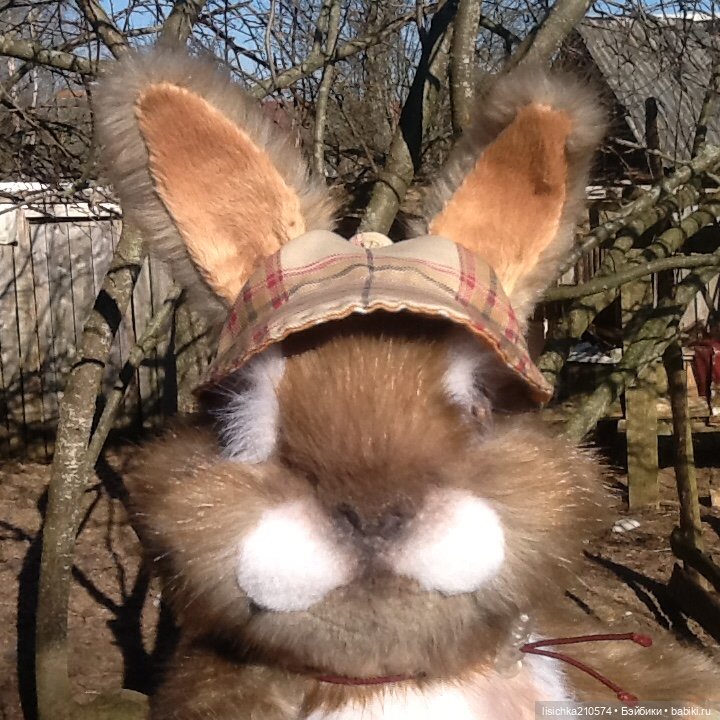 Пасха закончилась - зайцы остались (фото 10)