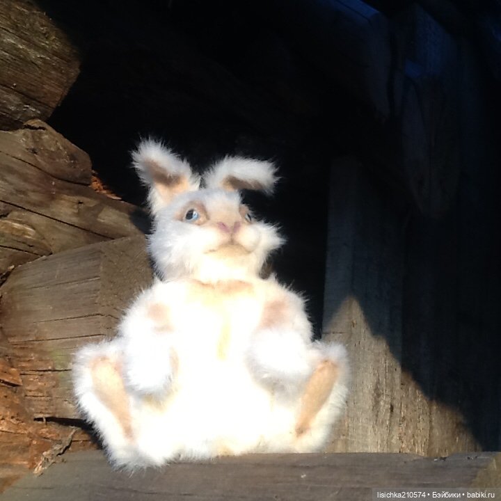 Пасха закончилась - зайцы остались