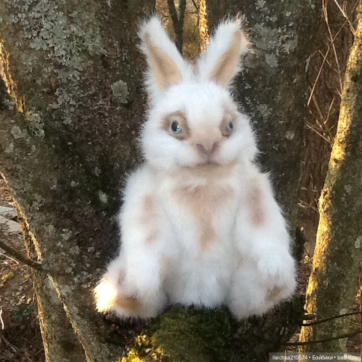 Пасха закончилась - зайцы остались