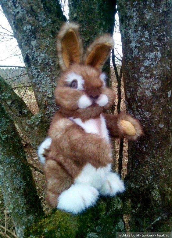 Пасха закончилась - зайцы остались (фото 6)