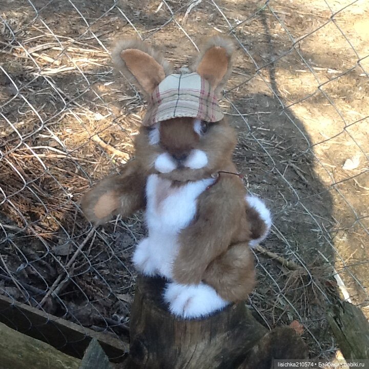 Пасха закончилась - зайцы остались