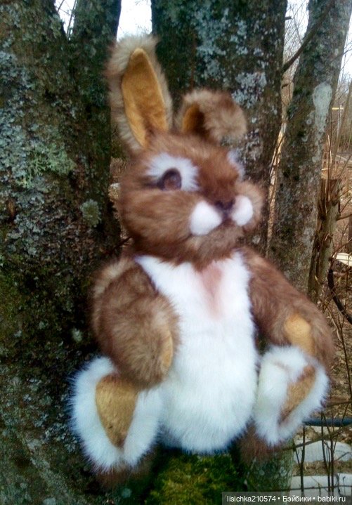 Пасха закончилась - зайцы остались (фото 4)