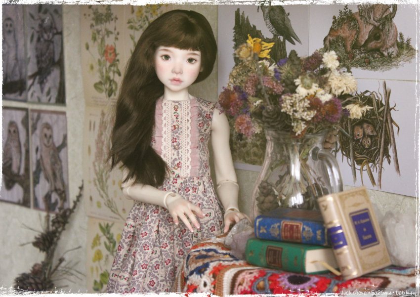 Файлин и вторая жизнь цветов (фото 5)