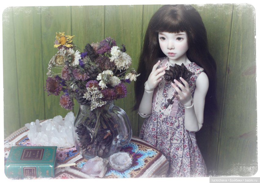 Файлин и вторая жизнь цветов (фото 9)