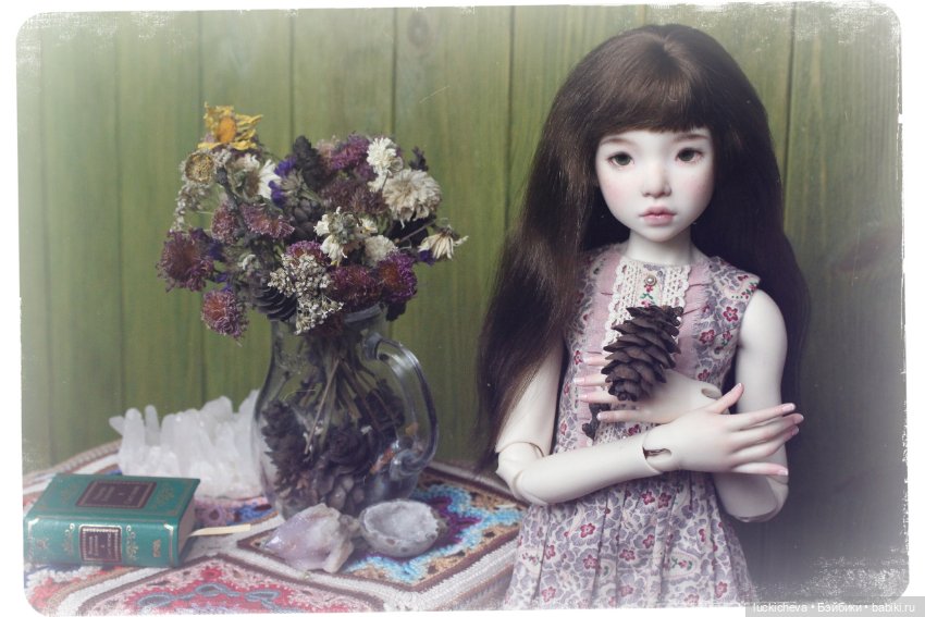 Файлин и вторая жизнь цветов (фото 8)