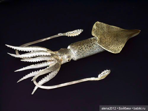 СТЕКЛЯННЫЕ ЦВЕТЫ ЛЕОПОЛЬДА И РУДОЛЬФА БЛАШКА