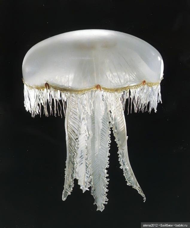 СТЕКЛЯННЫЕ ЦВЕТЫ ЛЕОПОЛЬДА И РУДОЛЬФА БЛАШКА