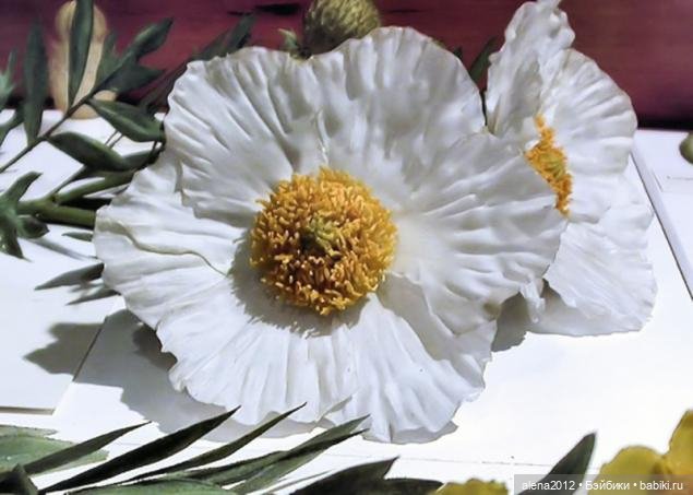 СТЕКЛЯННЫЕ ЦВЕТЫ ЛЕОПОЛЬДА И РУДОЛЬФА БЛАШКА