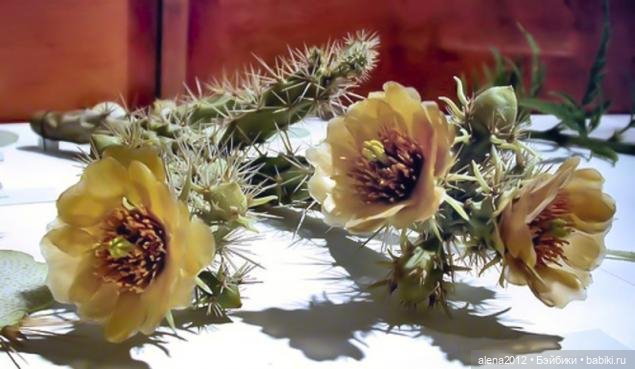 СТЕКЛЯННЫЕ ЦВЕТЫ ЛЕОПОЛЬДА И РУДОЛЬФА БЛАШКА