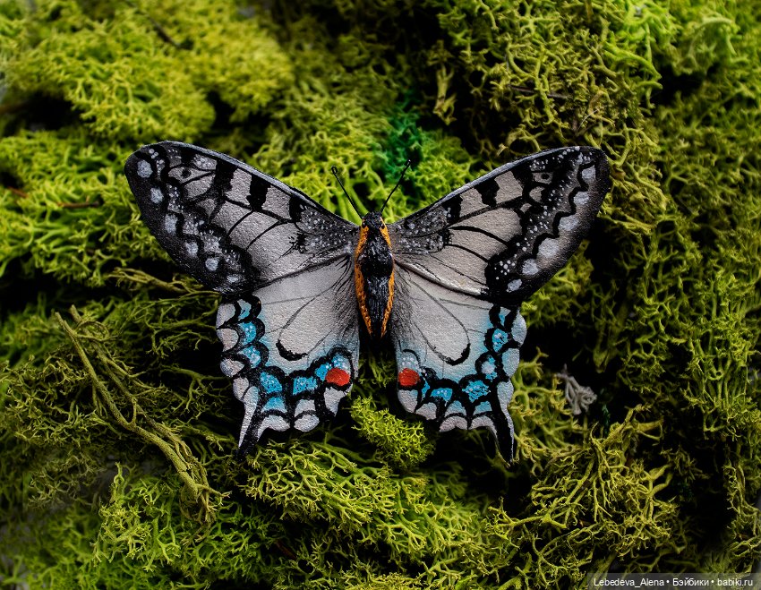 Броши весенние крылатые — Другие хобби и увлечения: сад (фото 3)