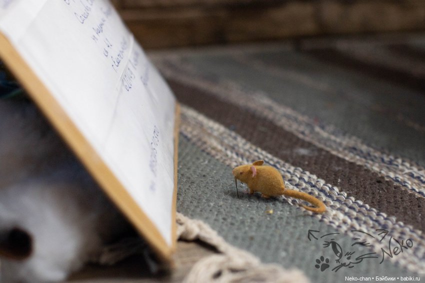 Подарки от друзей — Фотоистории с куклами BJD (БЖД): сериалы (фото 2)