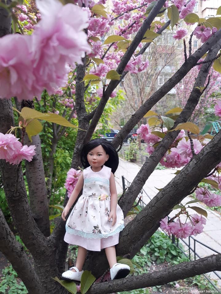 Сакура цветет на радость Лин-Лин