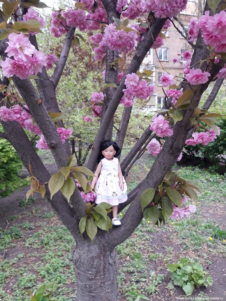 Сакура цветет на радость Лин-Лин (фото 4)