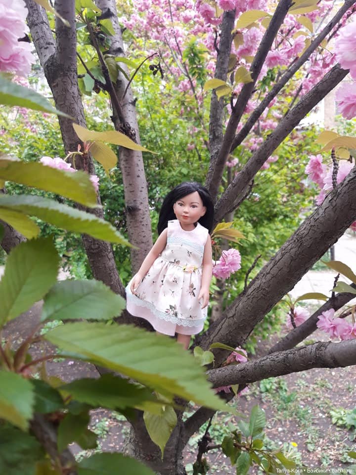 Сакура цветет на радость Лин-Лин