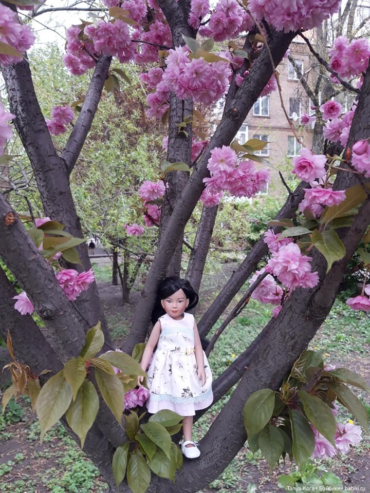Сакура цветет на радость Лин-Лин (фото 7)