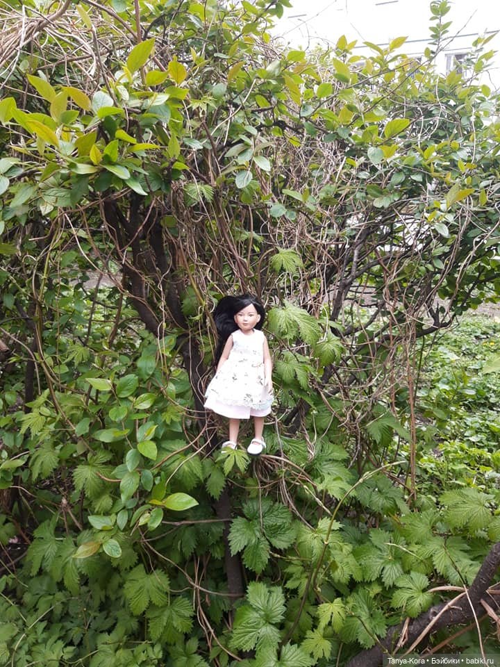 Сакура цветет на радость Лин-Лин