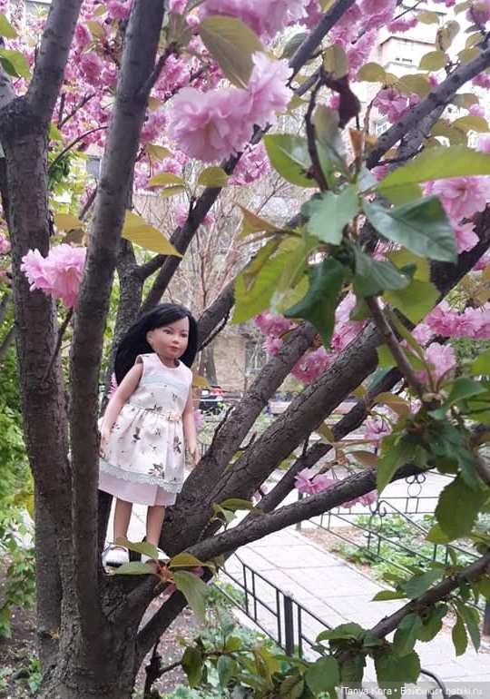 Сакура цветет на радость Лин-Лин (фото 3)