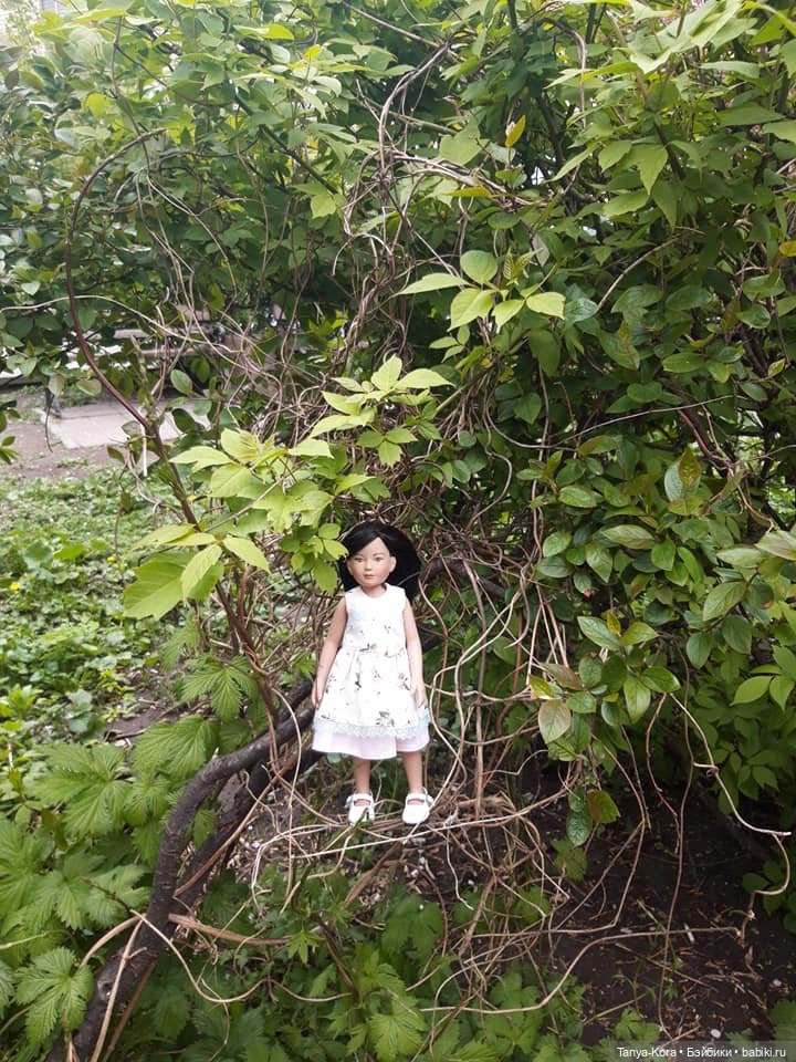 Сакура цветет на радость Лин-Лин