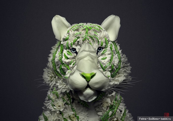 Креативные работы из растений и цветов