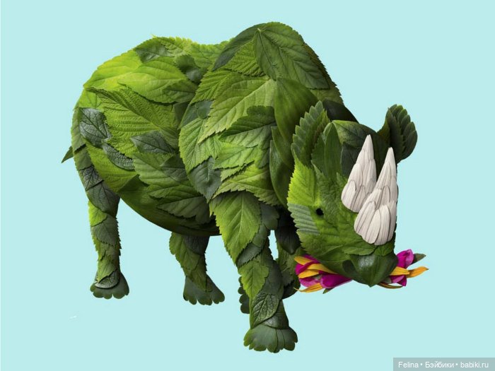 Креативные работы из растений и цветов