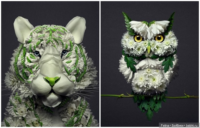 Креативные работы из растений и цветов