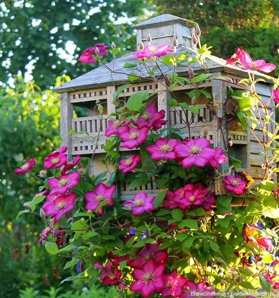 Домики, кормушки. Красиво , стильно. Благодарность от птиц. Идея чем заняться дома