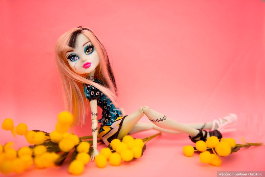 Фотограф на карантине — Куклы Monster High и Ever After High: G1