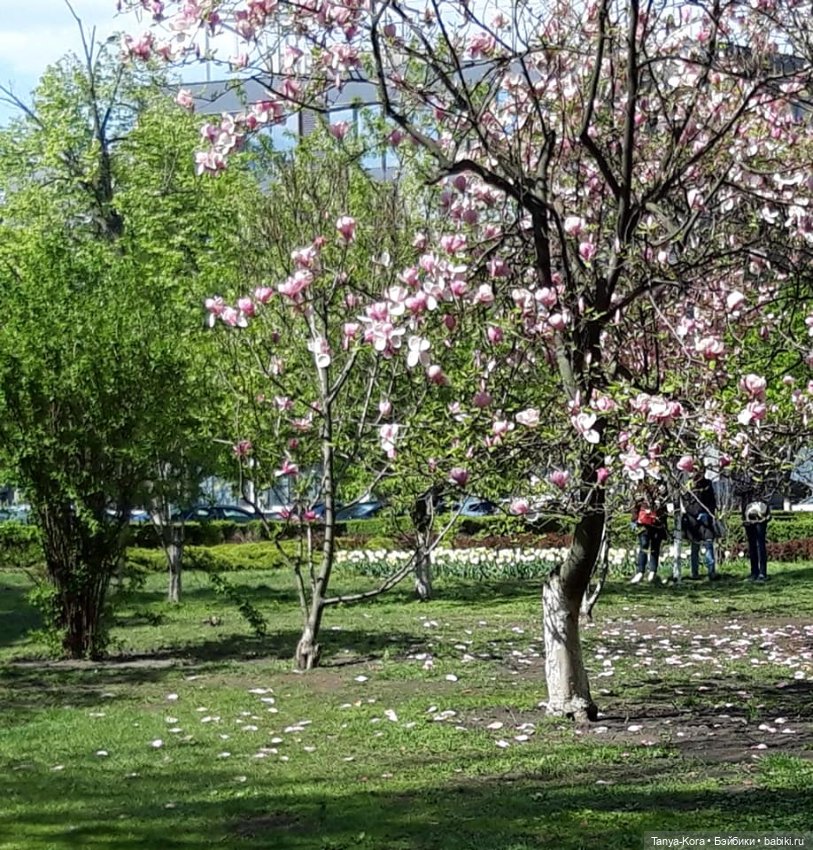 Кто на экскурсию по Киеву? Приглашаю (фото 9)