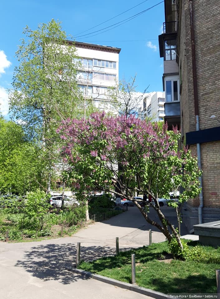 Кто на экскурсию по Киеву? Приглашаю (фото 3)