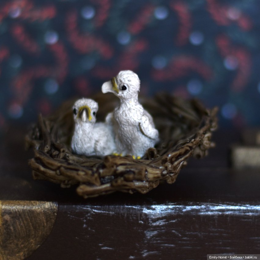 Однажды Алиса - навсегда Алиса (фото 4)