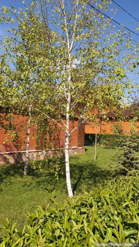 30 апреля, +24°. Весна в Ростове-на-Дону. Я здесь живу (фото 8)