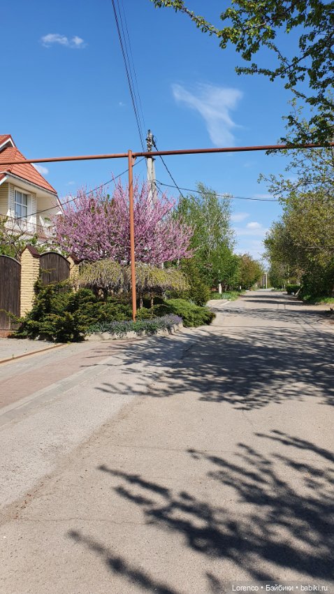 30 апреля, +24°. Весна в Ростове-на-Дону. Я здесь живу