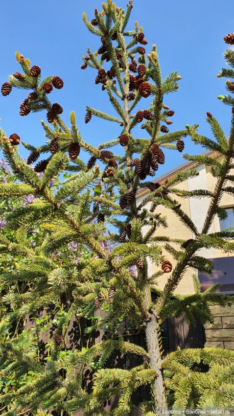 30 апреля, +24°. Весна в Ростове-на-Дону. Я здесь живу