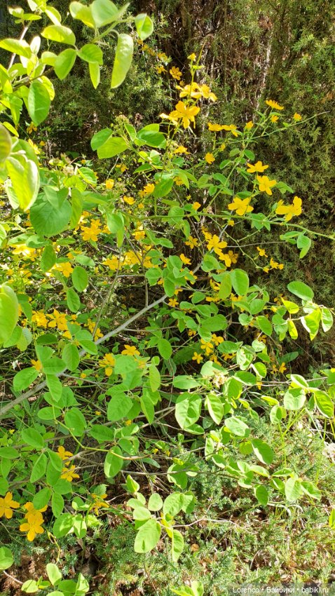 30 апреля, +24°. Весна в Ростове-на-Дону. Я здесь живу