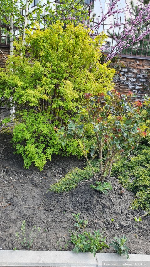 30 апреля, +24°. Весна в Ростове-на-Дону. Я здесь живу (фото 2)