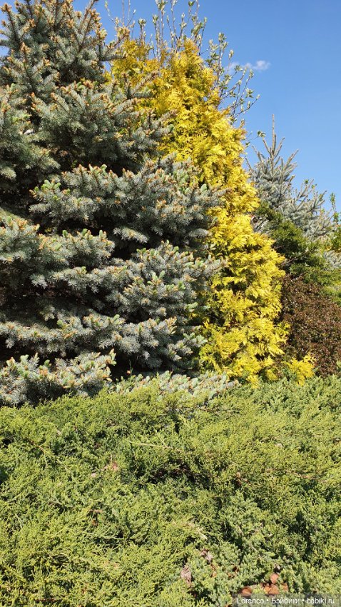 30 апреля, +24°. Весна в Ростове-на-Дону. Я здесь живу