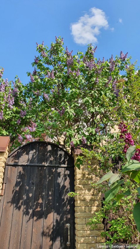 30 апреля, +24°. Весна в Ростове-на-Дону. Я здесь живу