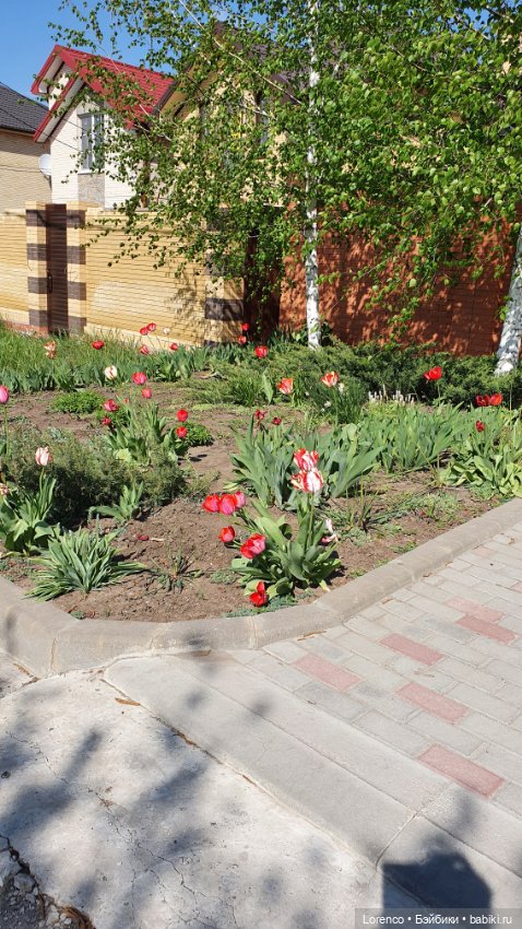 30 апреля, +24°. Весна в Ростове-на-Дону. Я здесь живу