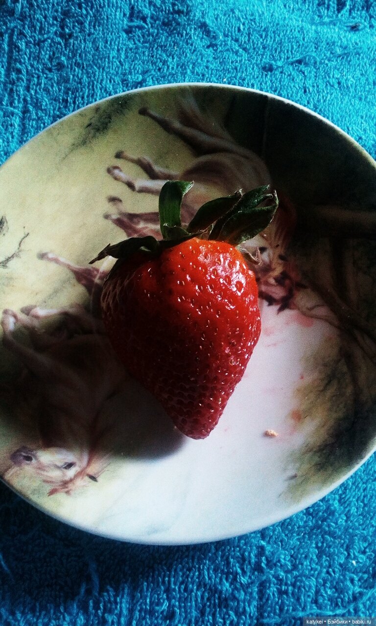 Первомай Цветы и Чай — Болталка и разговоры обо всем: жизнь (фото 3)