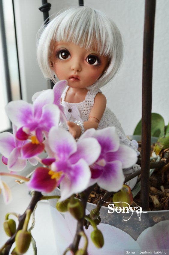 Дашка. Милый ребенок с трудным характером