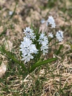 Rabery и холодная финская весна