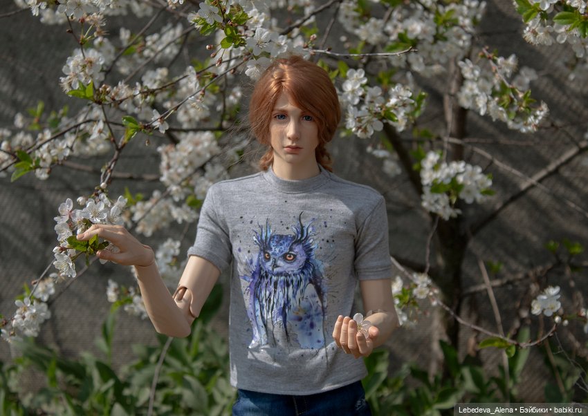 Арс или что есть образ — Куклы Dollshe Craft (Доллше): BJD (БЖД) (фото 5)