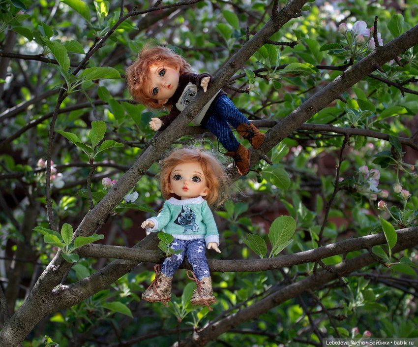 Мои витаминки — Куклы Fairyland (ФэйриЛэнд): BJD (БЖД) (фото 7)